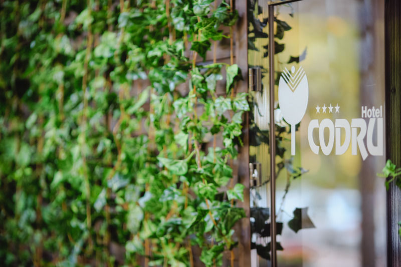 Codru Hotel Chişinău Eksteriør billede